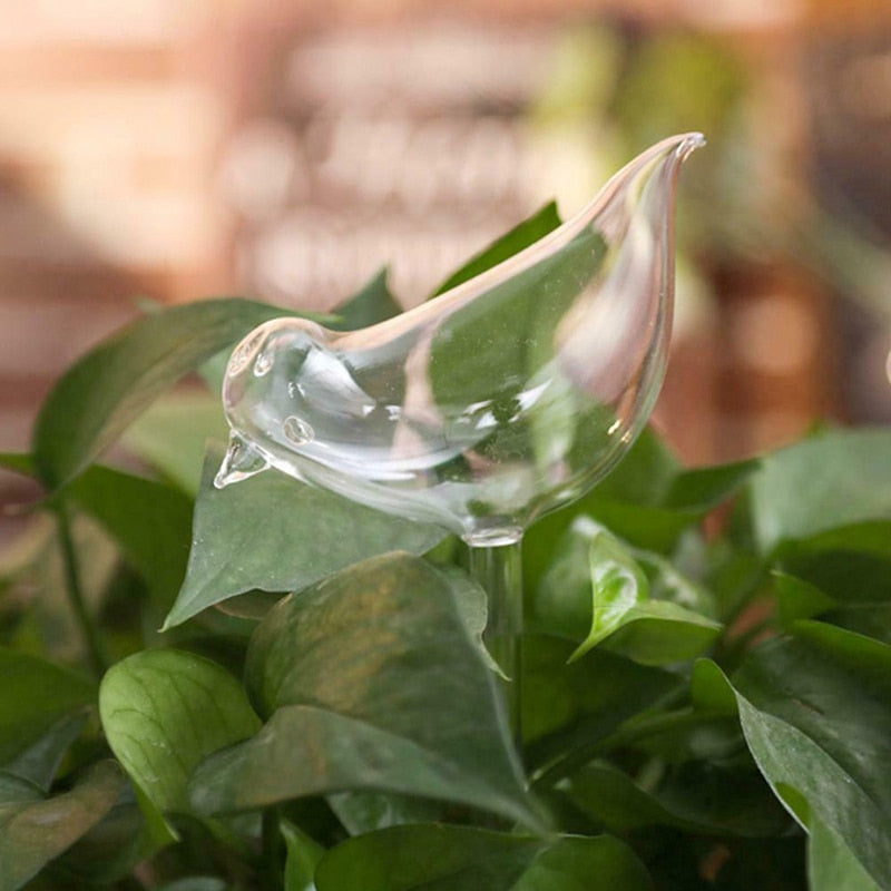 PlantDrip - Self-Watering Plant Globes