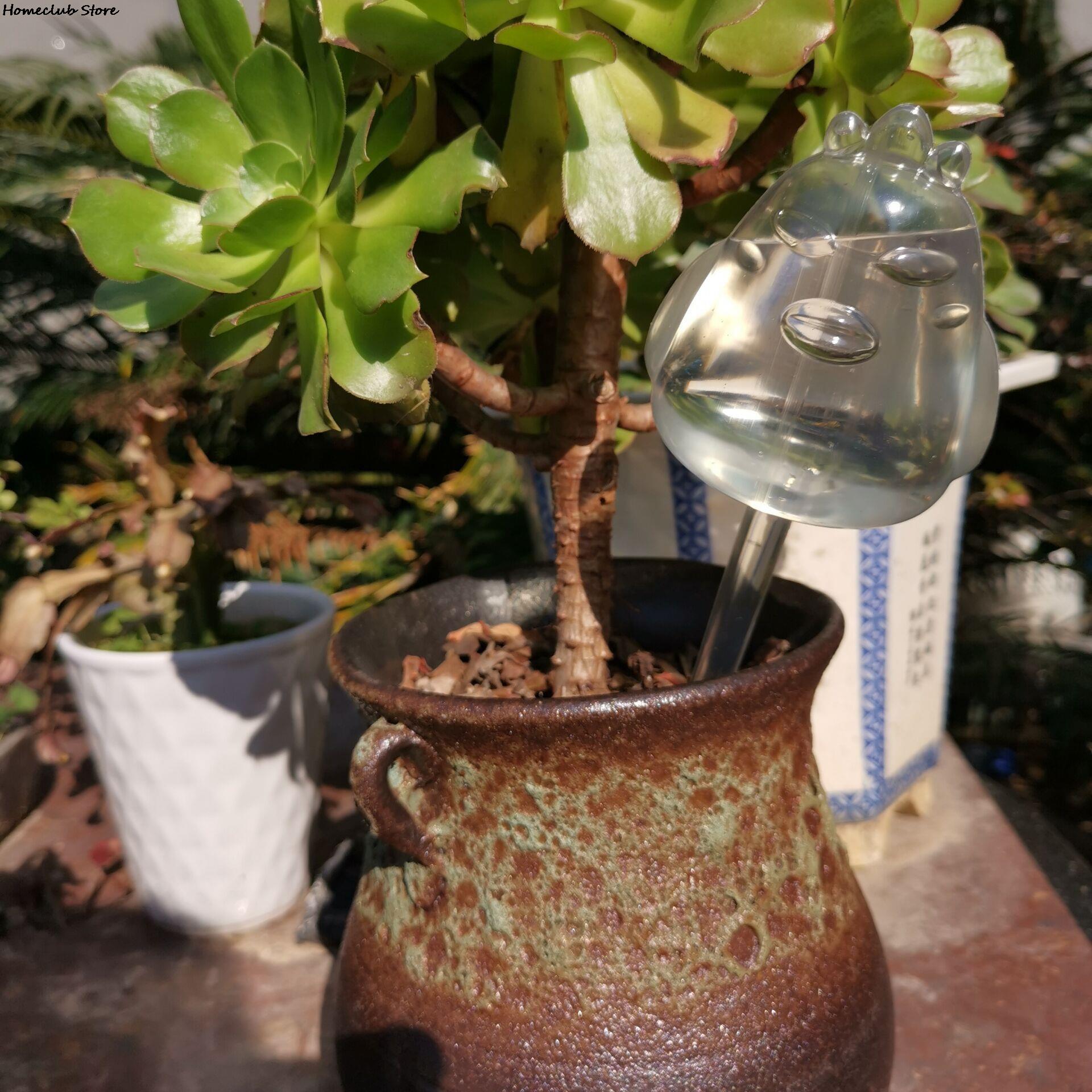 PlantDrip - Self-Watering Plant Globes